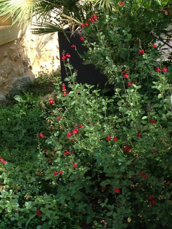 Les Camelias Bed & Breakfast Lalinde Exterior foto